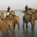 chitwan