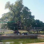 lumbini